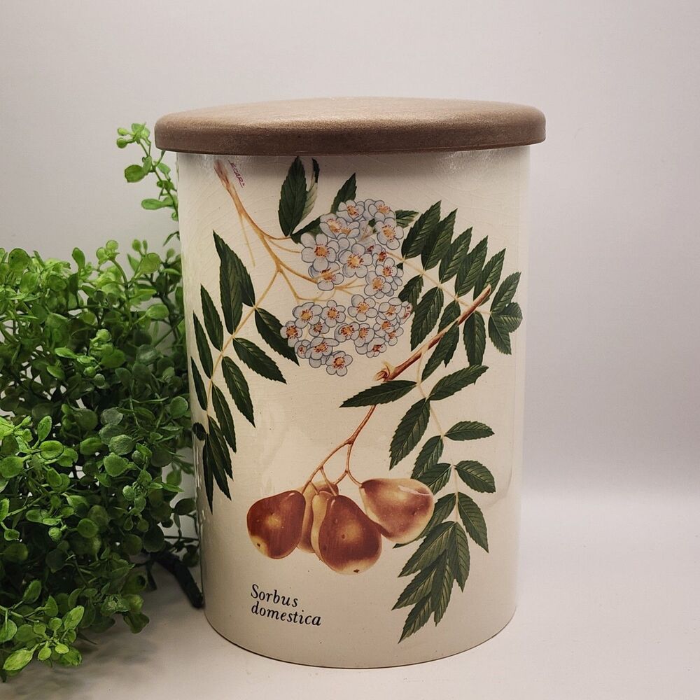 VTG Crown Devon 7.5" Canister Sorbus Domestica Staffordshire England Fruit